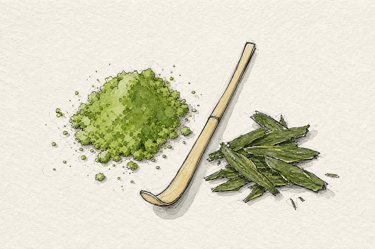 Matcha powder beside flat tencha leaves and a bamboo scoop